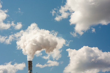 Similar image 521538