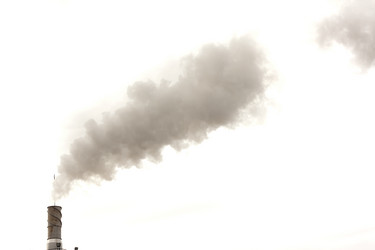 Similar image 521542