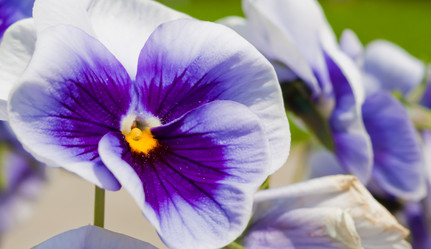 Similar image 521549