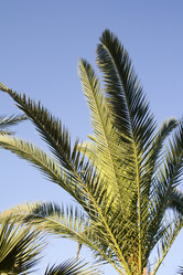 Similar image 521562