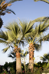 Similar image 521563