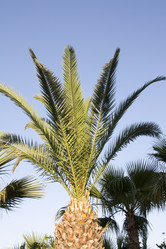 Similar image 521564