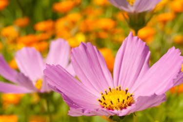 Similar image 521565