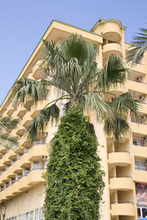 Similar image 521569