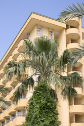 Similar image 521570