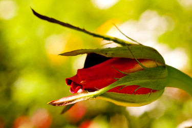 Similar image 521584