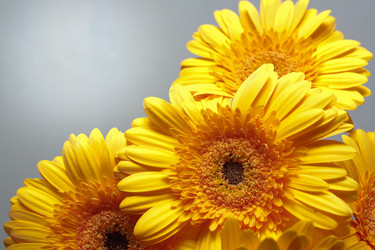 Similar image 521596