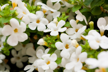 Similar image 521618