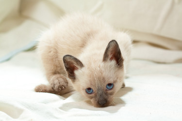 Similar image 521712