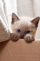 Similar image 521715