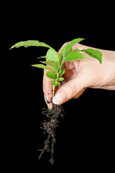 Similar image 521756