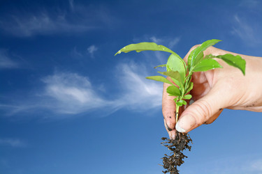 Similar image 521758