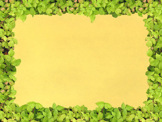 Similar image 521763