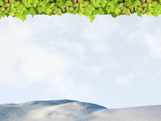 Similar image 521765