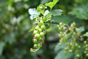 Similar image 521766