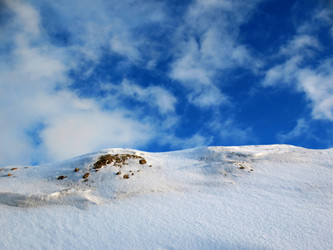 Similar image 521777