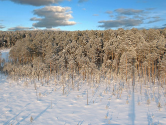 Similar image 521783