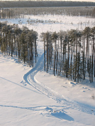 Similar image 521789