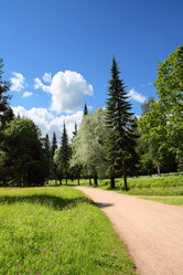 Similar image 521848