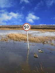 Similar image 521865