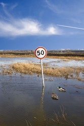 Similar image 521866