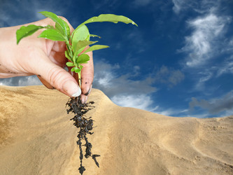 Similar image 521902