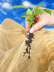 Similar image 521903