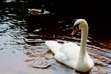 Similar image 522025