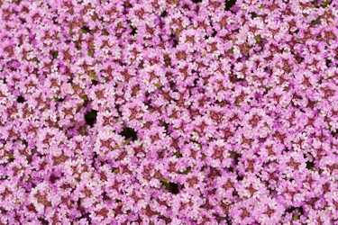 Similar image 522072