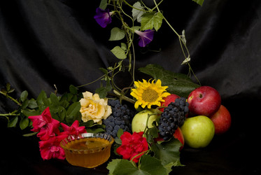 Similar image 522075