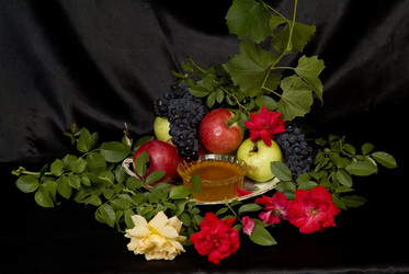 Similar image 522084