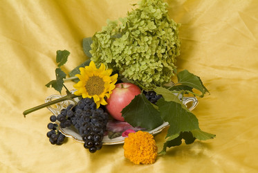 Similar image 522087