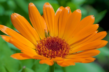 Similar image 522095