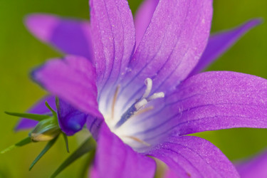 Similar image 522098