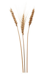 Similar image 522120