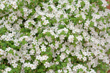 Similar image 522121