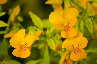 Similar image 522122