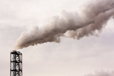 Similar image 522236