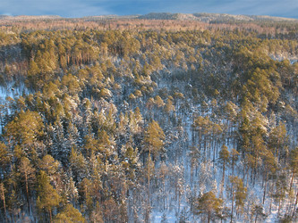 Similar image 522270