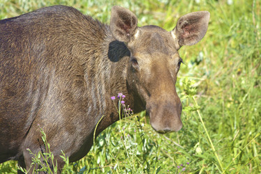 Similar image 522328