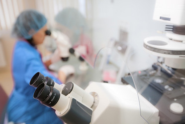 Similar image 522335