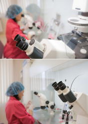 Similar image 522336