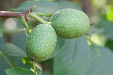 Similar image 522360