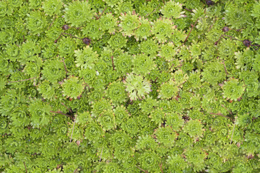 Similar image 522483