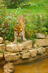 Similar image 522493