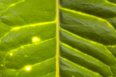 Similar image 522500