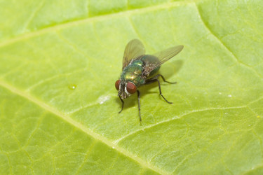 Similar image 522508