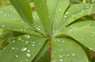 Similar image 522572