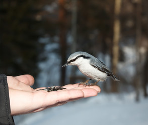 Similar image 522578