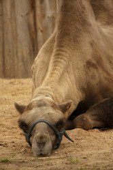 Similar image 522598